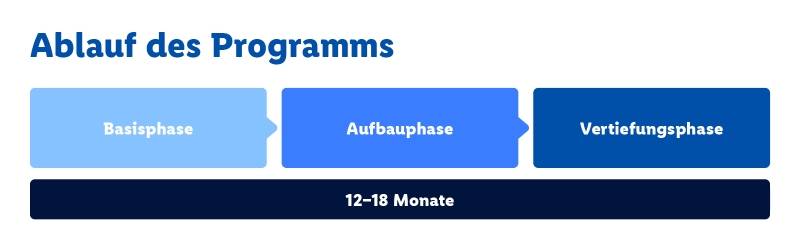 Traineeprogramm_neu.jpg